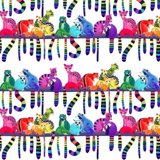Love in the Wild Quilt Fabric - Ringtail Love Night - White - PWKT040.XWHITE - Jammin Threads