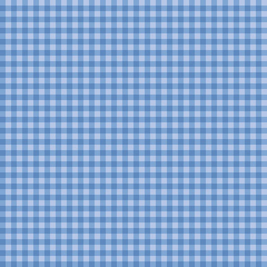 Penelope Quilt Fabric Gingham Blue C16644 - BLUE by My Mind's Eye for Riley Blake Designs - Jammin Threads