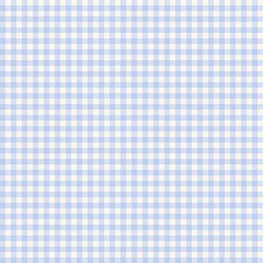 Penelope Quilt Fabric Gingham Sky C16644 - SKY by My Mind's Eye for Riley Blake Designs - Jammin Threads