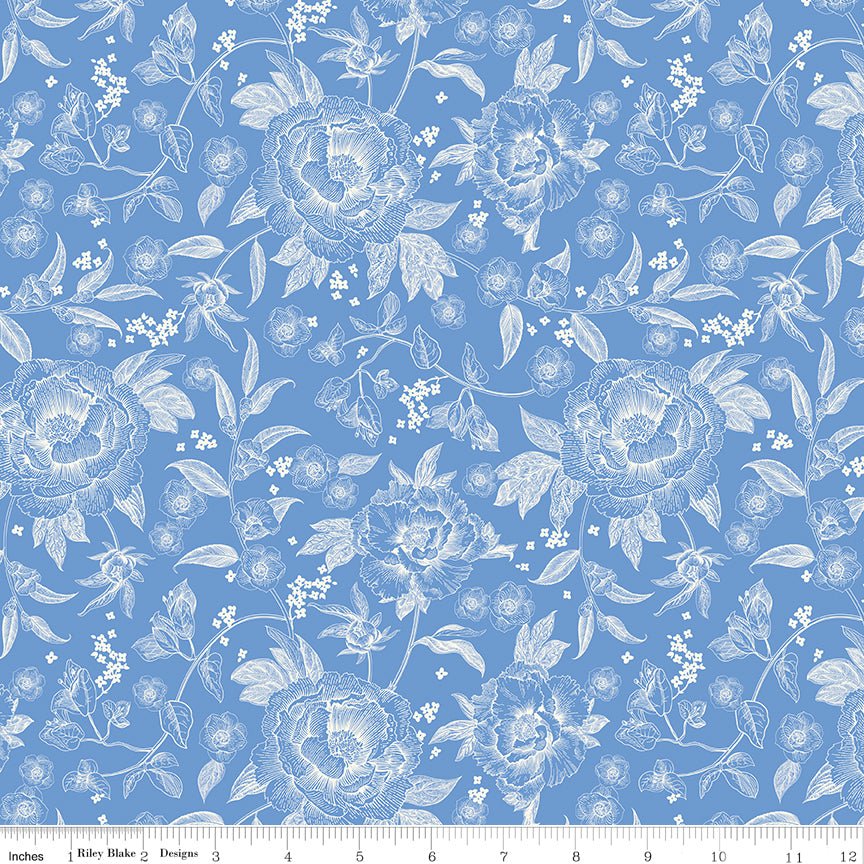 Penelope Quilt Fabric Main C16640 - BLUE by My Mind's Eye for Riley Blake Designs - Jammin Threads