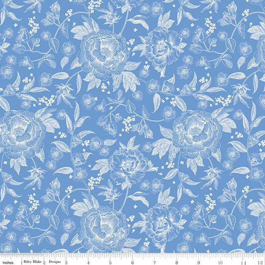 Penelope Quilt Fabric Main C16640 - BLUE by My Mind's Eye for Riley Blake Designs - Jammin Threads