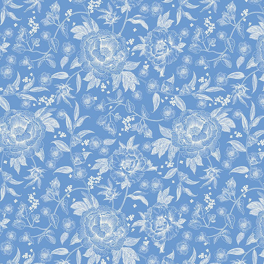 Penelope Quilt Fabric Main C16640 - BLUE by My Mind's Eye for Riley Blake Designs - Jammin Threads