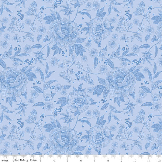 Penelope Quilt Fabric Main C16640 - SKY by My Mind's Eye for Riley Blake Designs - Jammin Threads