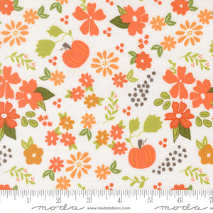 Birch & Willow Quilt Fabric Cloud 37720 11 Fabric by Sherri & Chelsi for Moda Fabrics