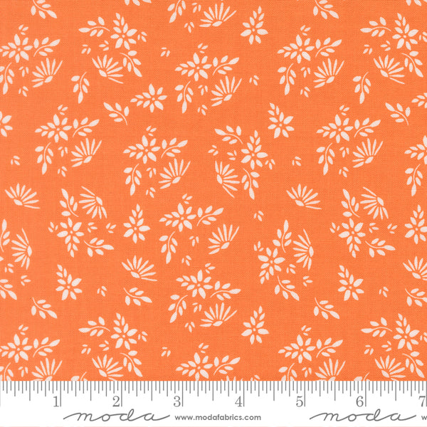 Birch & Willow Quilt Fabric Pumpkin 37721 14 by Sherri & Chelsi for Moda Fabrics