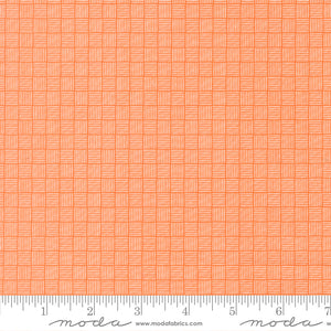 Birch & Willow Quilt Fabric Pumpkin 37723 14 by Sherri & Chelsi for Moda Fabrics