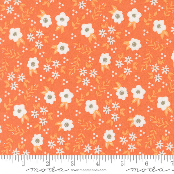 Birch & Willow Quilt Fabric Pumpkin 37725 14 by Sherri & Chelsi for Moda Fabrics