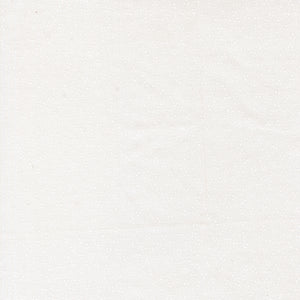 Birch & Willow Quilt Fabric Cloud White 37728 21 by Sherri & Chelsi for Moda Fabrics