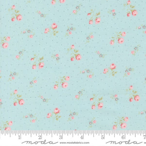 Abide Quilt Fabric by Brenda Riddle Designs Light Blue 18792 14 for Moda Fabrics - Jammin Threads