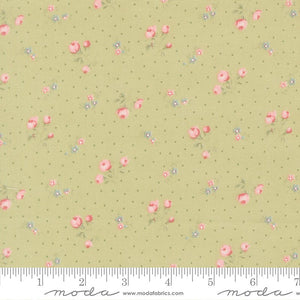 Abide Quilt Fabric by Brenda Riddle Designs Light Green 18792 15 for Moda Fabrics - Jammin Threads