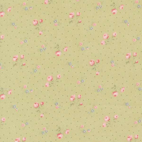 Abide Quilt Fabric by Brenda Riddle Designs Light Green 18792 15 for Moda Fabrics - Jammin Threads