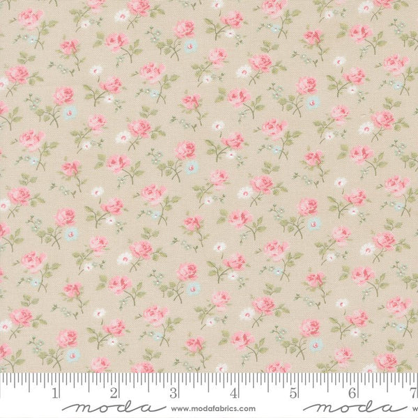 Abide Quilt Fabric by Brenda Riddle Designs Stone 18791 17 for Moda Fabrics - Jammin Threads
