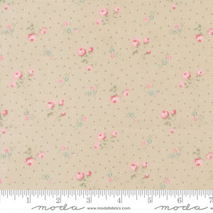 Abide Quilt Fabric by Brenda Riddle Designs Stone 18792 17 for Moda Fabrics - Jammin Threads