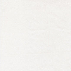 Birch & Willow Quilt Fabric Cloud White 37728 21 by Sherri & Chelsi for Moda Fabrics - Jammin Threads