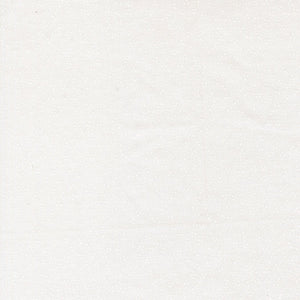 Birch & Willow Quilt Fabric Cloud White 37728 21 by Sherri & Chelsi for Moda Fabrics - Jammin Threads