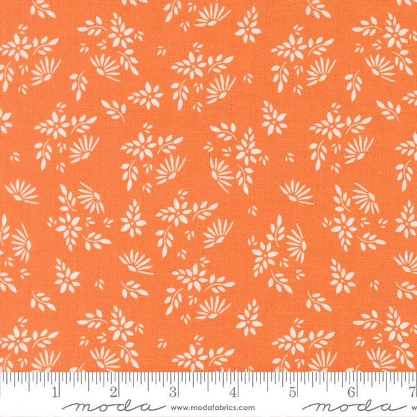 Birch & Willow Quilt Fabric Pumpkin 37721 14 by Sherri & Chelsi for Moda Fabrics - Jammin Threads
