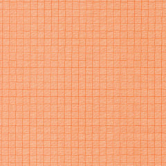 Birch & Willow Quilt Fabric Pumpkin 37723 14 by Sherri & Chelsi for Moda Fabrics - Jammin Threads