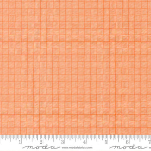 Birch & Willow Quilt Fabric Pumpkin 37723 14 by Sherri & Chelsi for Moda Fabrics - Jammin Threads