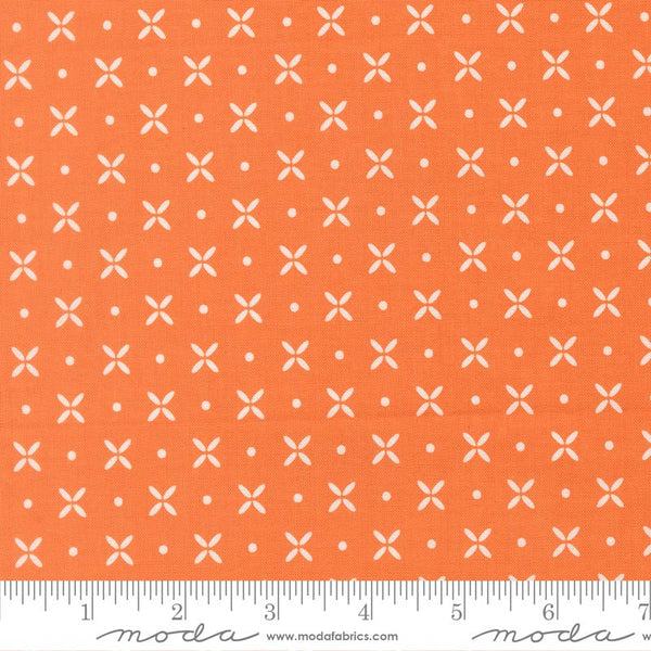 Birch & Willow Quilt Fabric Pumpkin 37724 14 by Sherri & Chelsi for Moda Fabrics - Jammin Threads