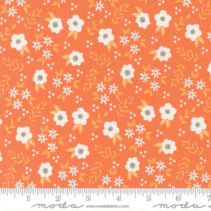 Birch & Willow Quilt Fabric Pumpkin 37725 14 by Sherri & Chelsi for Moda Fabrics - Jammin Threads