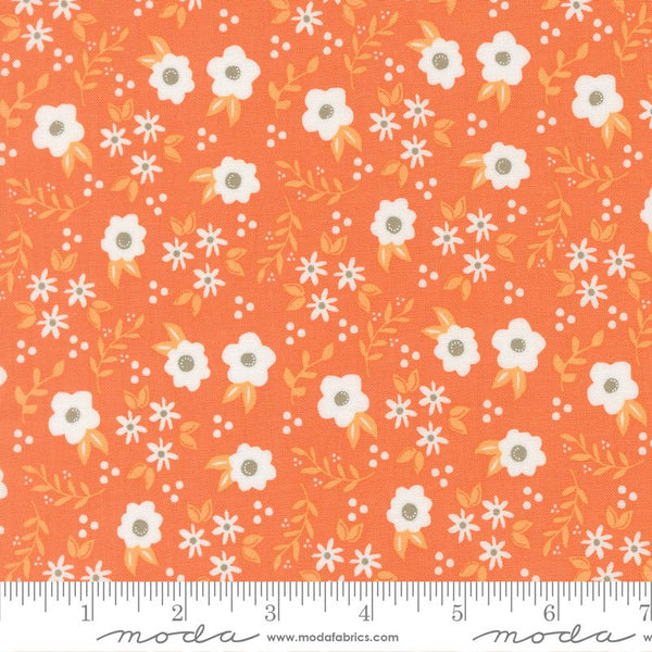 Birch & Willow Quilt Fabric Pumpkin 37725 14 by Sherri & Chelsi for Moda Fabrics - Jammin Threads