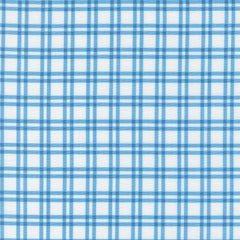 Blueprint Quilt Fabric White Harbor 55332 11 by Camille Roskelley for Moda Fabrics - Jammin Threads