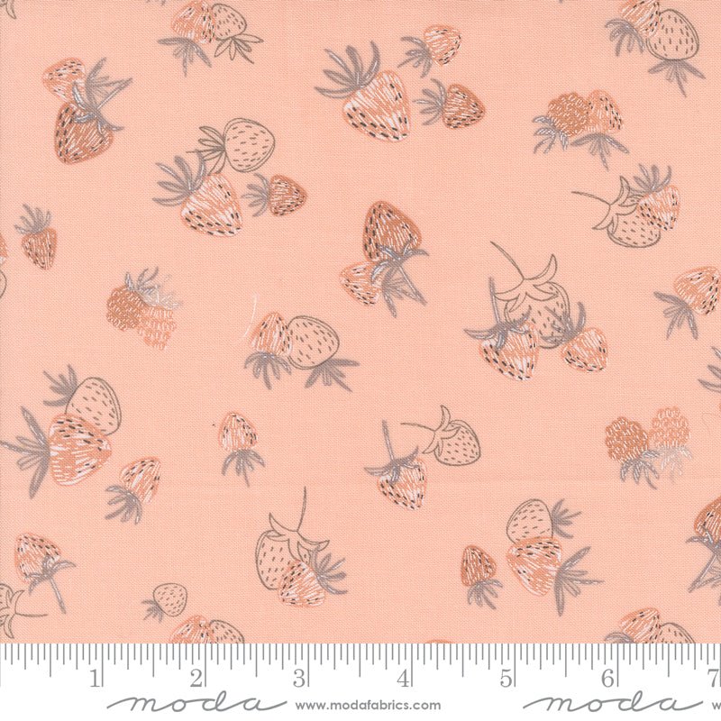 Chirp Quilt Fabric Sweet Memoires Sunrise 39032 12 by Elana Amo - Jammin Threads