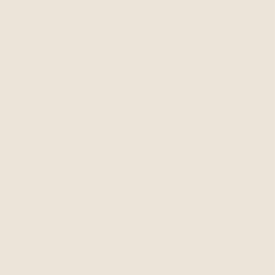 ColorWorks Premium Solids 9000 - 122 Mushroom by Northcott Fabrics - Jammin Threads