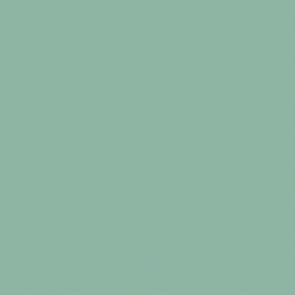 Confetti Cotton™ Pistachio C120 - Pistachio by Riley Blake Designs - Jammin Threads