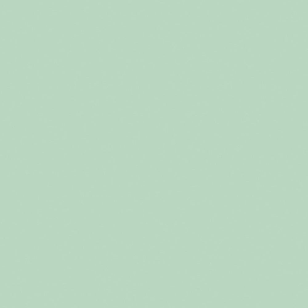 Confetti Cotton™ Sage C120 - SAGE by Riley Blake Designs - Jammin Threads