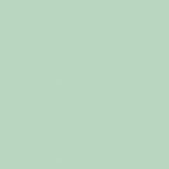Confetti Cotton™ Sage C120 - SAGE by Riley Blake Designs - Jammin Threads