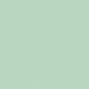 Confetti Cotton™ Sage C120 - SAGE by Riley Blake Designs - Jammin Threads