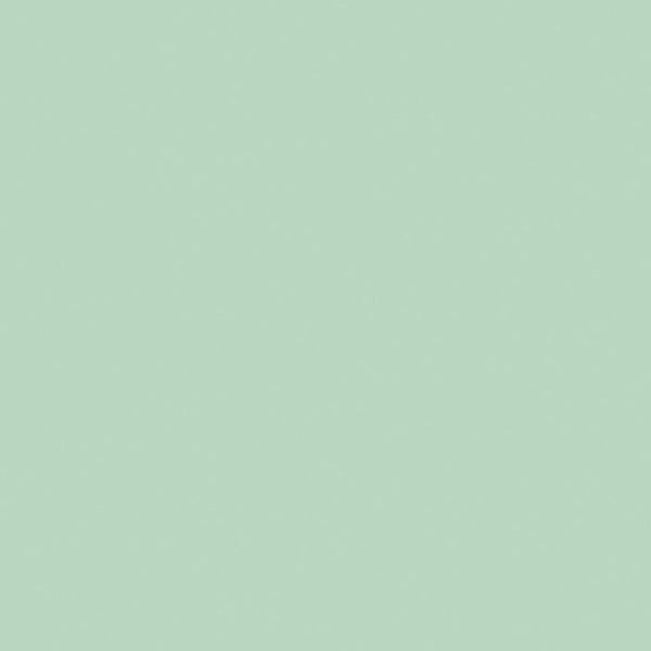 Confetti Cotton™ Sage C120 - SAGE by Riley Blake Designs - Jammin Threads