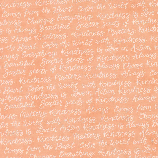 Kindness Quilt Fabric by Deb Strain Coral 56153 24 - Jammin Threads