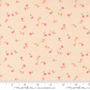 Kindness Quilt Fabric by Deb Strain Peach 56154 12 - Jammin Threads