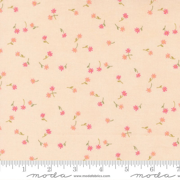 Kindness Quilt Fabric by Deb Strain Peach 56154 12 - Jammin Threads
