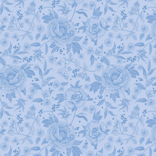 Penelope Quilt Fabric Main C16640 - SKY by My Mind's Eye for Riley Blake Designs - Jammin Threads
