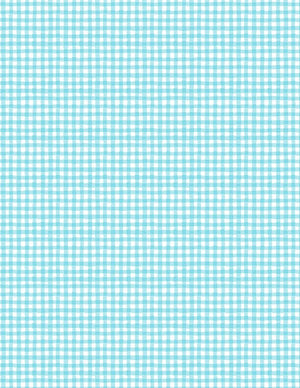 Rainbow Dreams Quilt Fabric Gingham Blue by Jenny Faw 3073 43024 441 - Jammin Threads