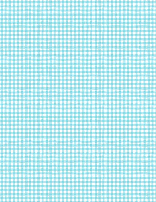 Rainbow Dreams Quilt Fabric Gingham Blue by Jenny Faw 3073 43024 441 - Jammin Threads