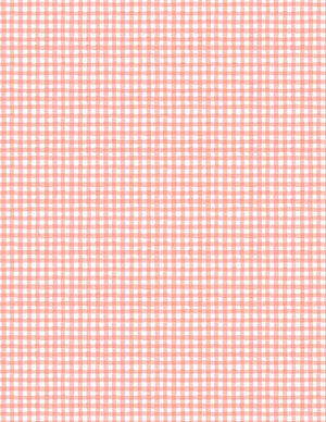 Rainbow Dreams Quilt Fabric Gingham Pink by Jenny Faw 3073 43024 331 - Jammin Threads