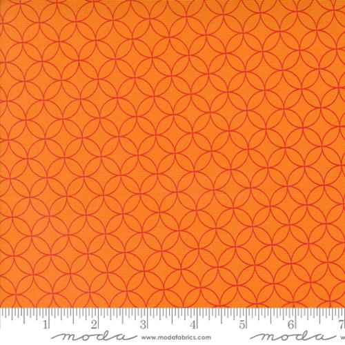 Rainbow Spice Pumpkin Quilt Fabric by Sariditty - Jammin Threads