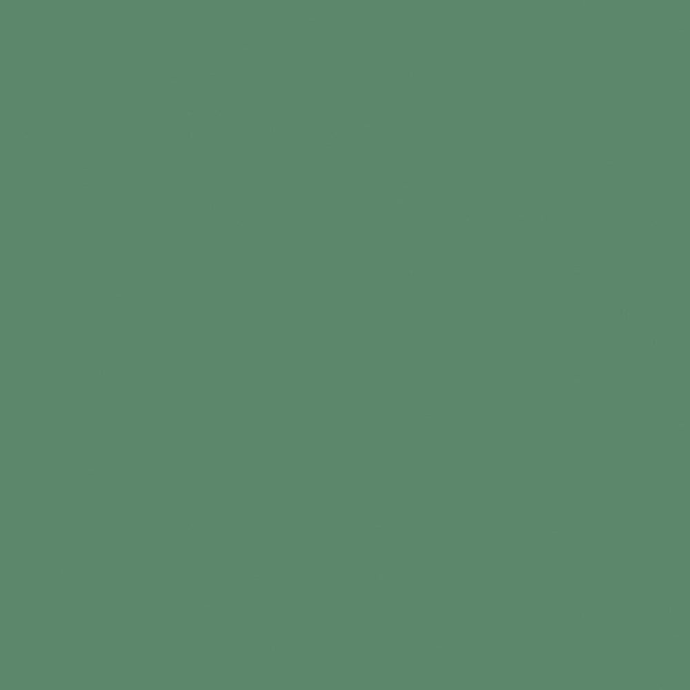 Riley Blake Confetti Cotton Lodge Pole Solid Fabric – C120-LODGEPOLE - Jammin Threads