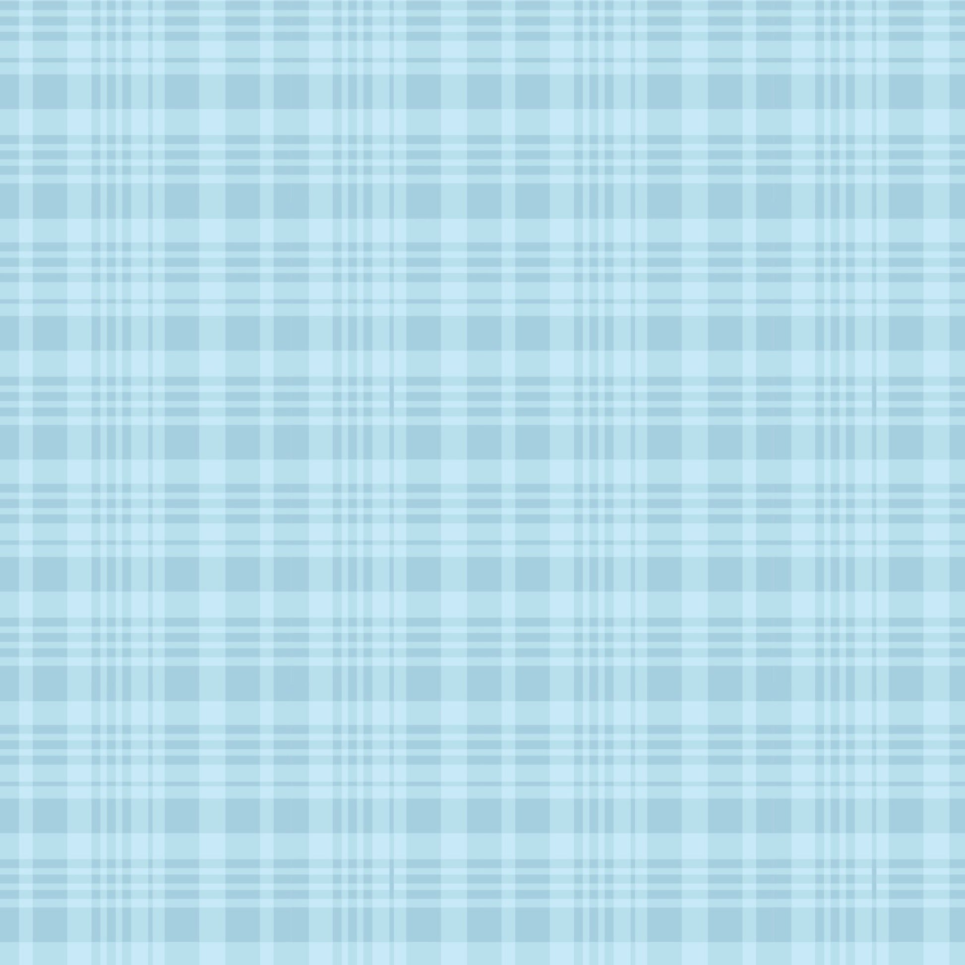 Winnie the Pooh Quilt Fabric Plaid C17005 - BLUE by Echo Park Paper Co. - Jammin Threads