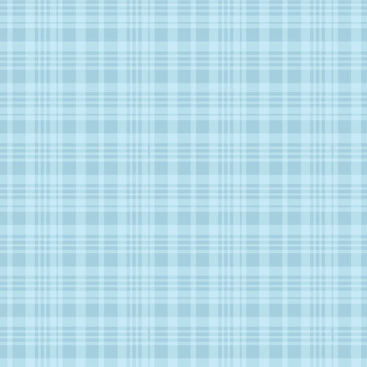 Winnie the Pooh Quilt Fabric Plaid C17005 - BLUE by Echo Park Paper Co. - Jammin Threads